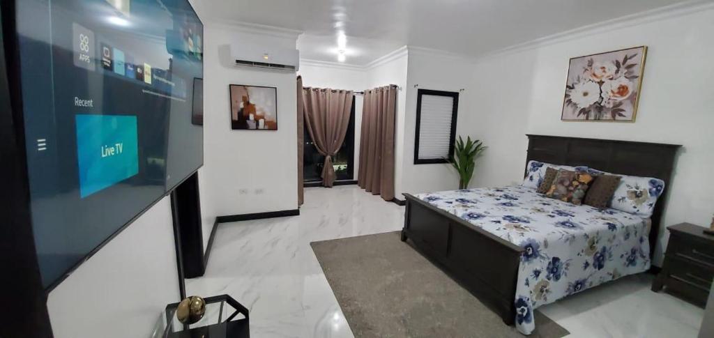 a living room with a bed and a tv at Elegant Escape in Kingston