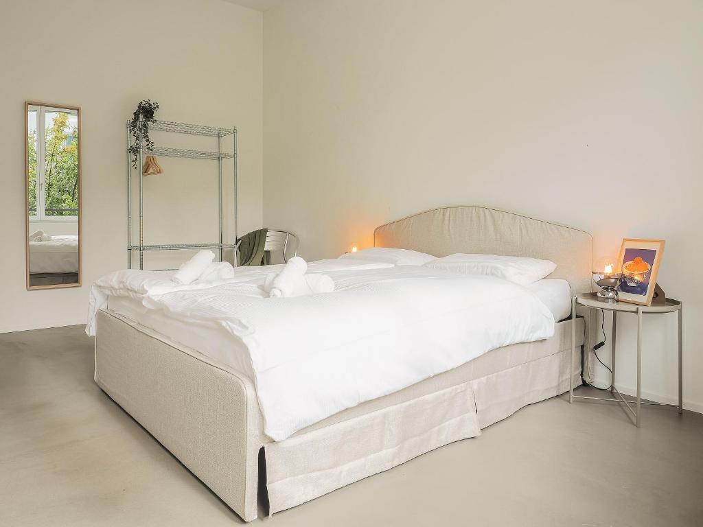 WYBA Living, stilvoll&zentral in St Gallen -6min zur Olma Messe - Resim 42