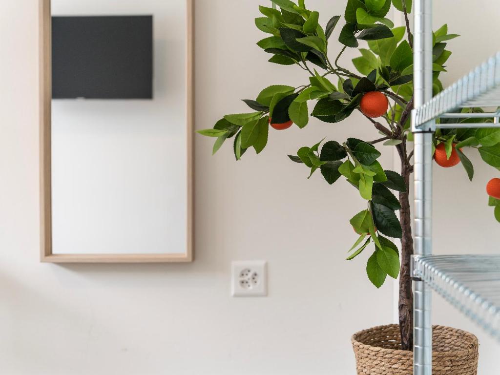 Modernes Hostel, Privatzimmer in Shared Apartment- 6min zur Olma Messe - Resim 10