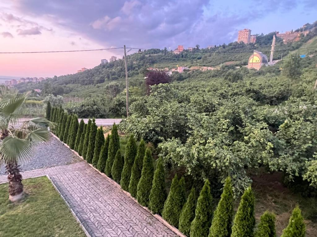 a view of a garden with a palm tree at Sea and Natural Adalet Suits in Çağlayan
