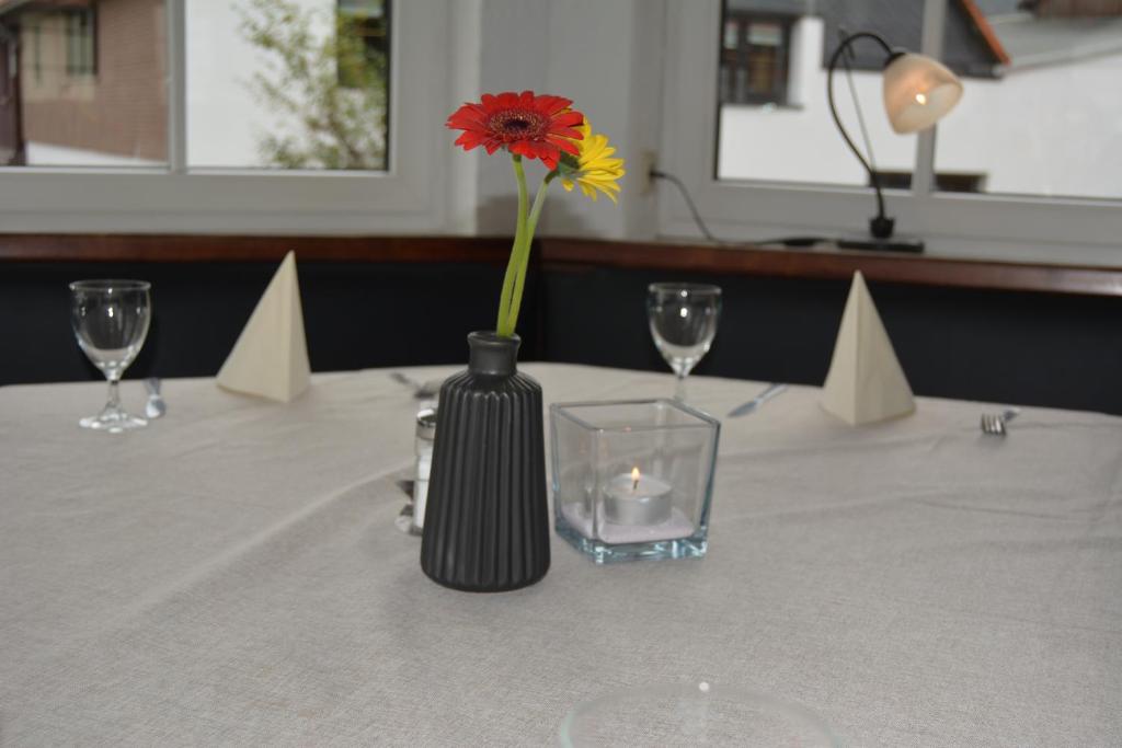a vase with a flower in it on a table at Harz-Appartement AUSZEIT am HEXENSTIEG - Königshütte in Königshütte
