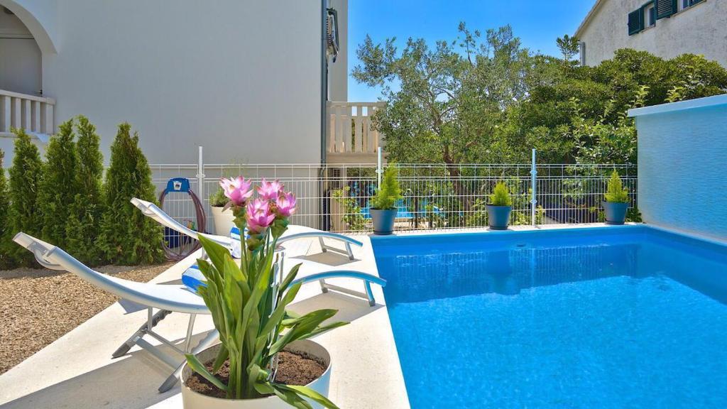 a blue swimming pool with a chair and a plant at Villa Hedonica in Zaboric