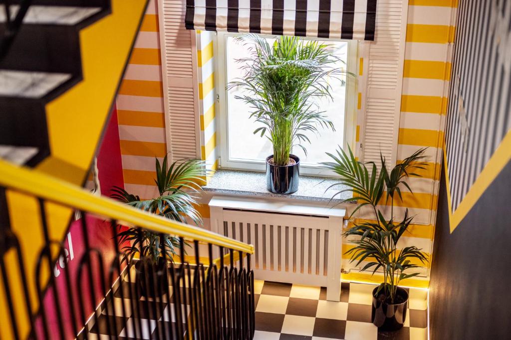 Φωτογραφία από το άλμπουμ του VICE CITY Hostel στο Βρότσλαβ