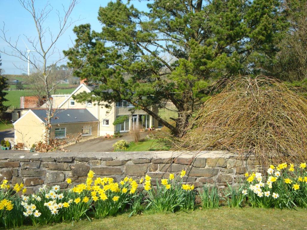 a stone wall with flowers in front of a house at Pen-y-Bont Guest House in Amroth