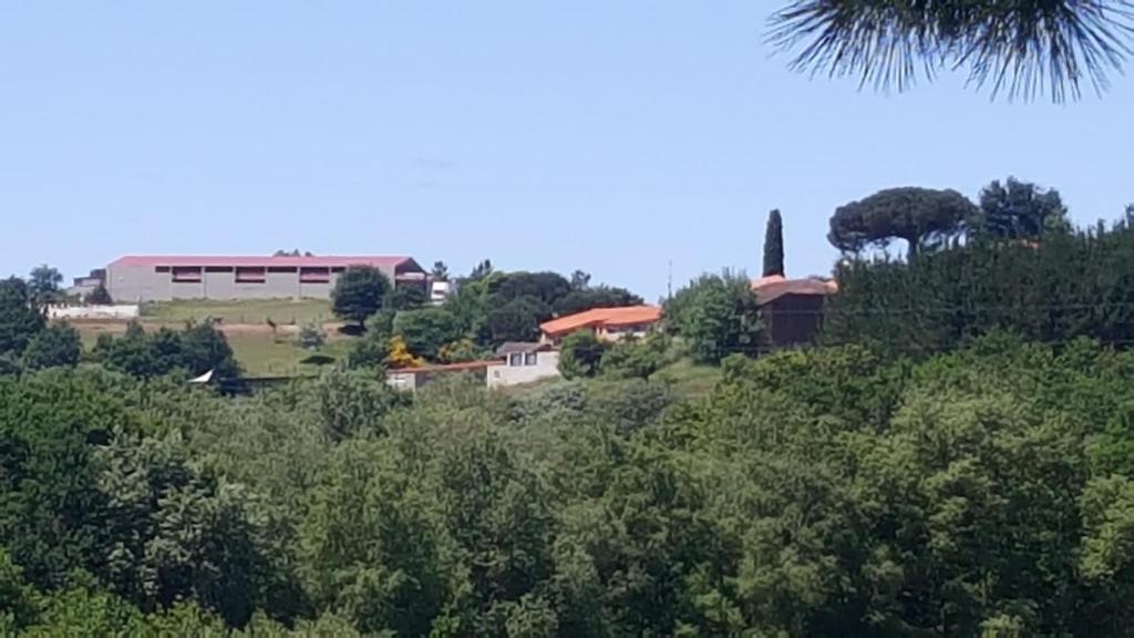 un grupo de casas en una colina con árboles en Casa Felisa Marcelle, en Marcelle