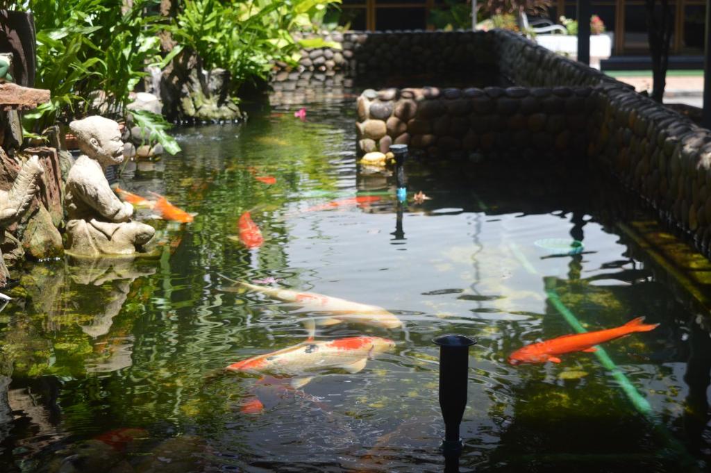 Radi Mansion - Resim 24