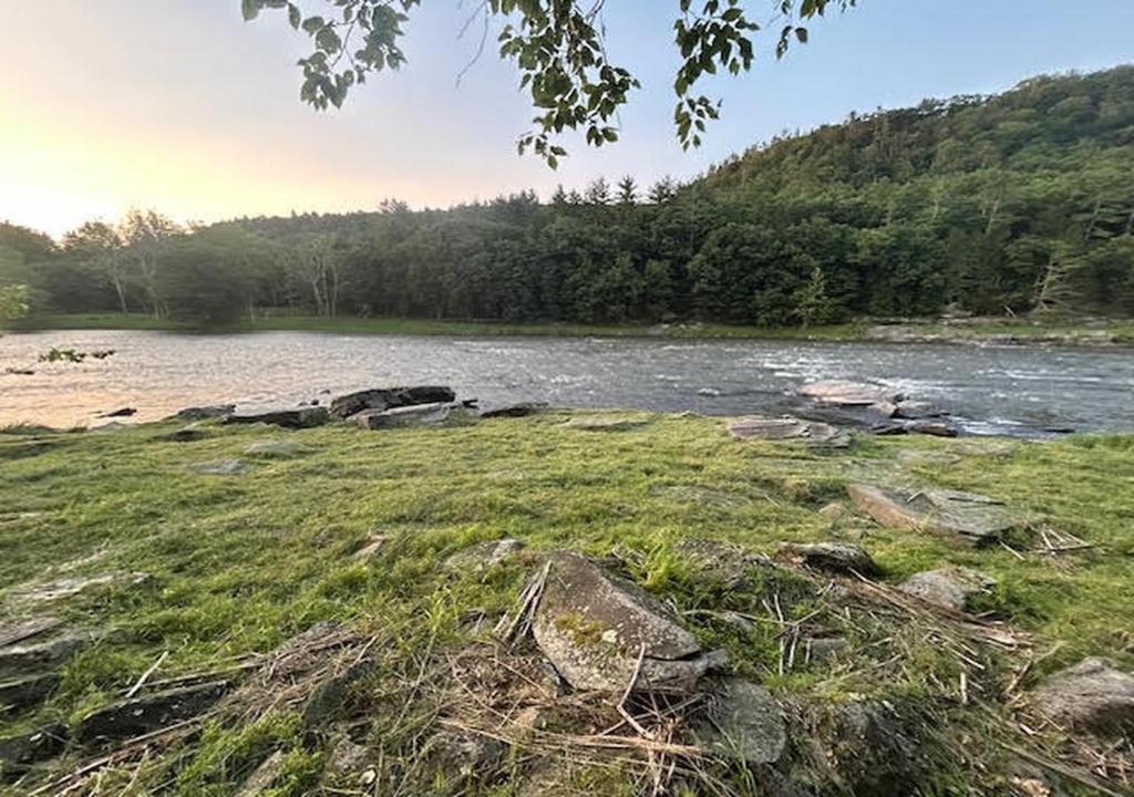 een waterlichaam met rotsen, gras en bomen bij Delaware River Poconos Riverfront Masthope in Masthope