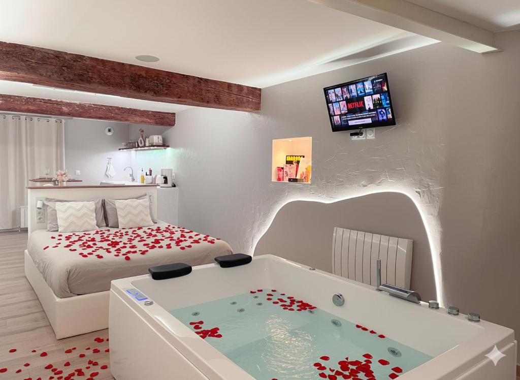 a bedroom with a tub with a bed and a tv at À la folie - Loft & Spa in Montrevault