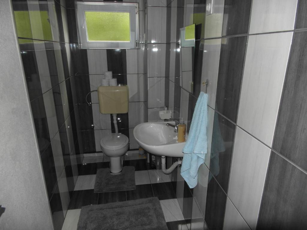 Kúpeľňa v ubytovaní Apartment Tina Gračac