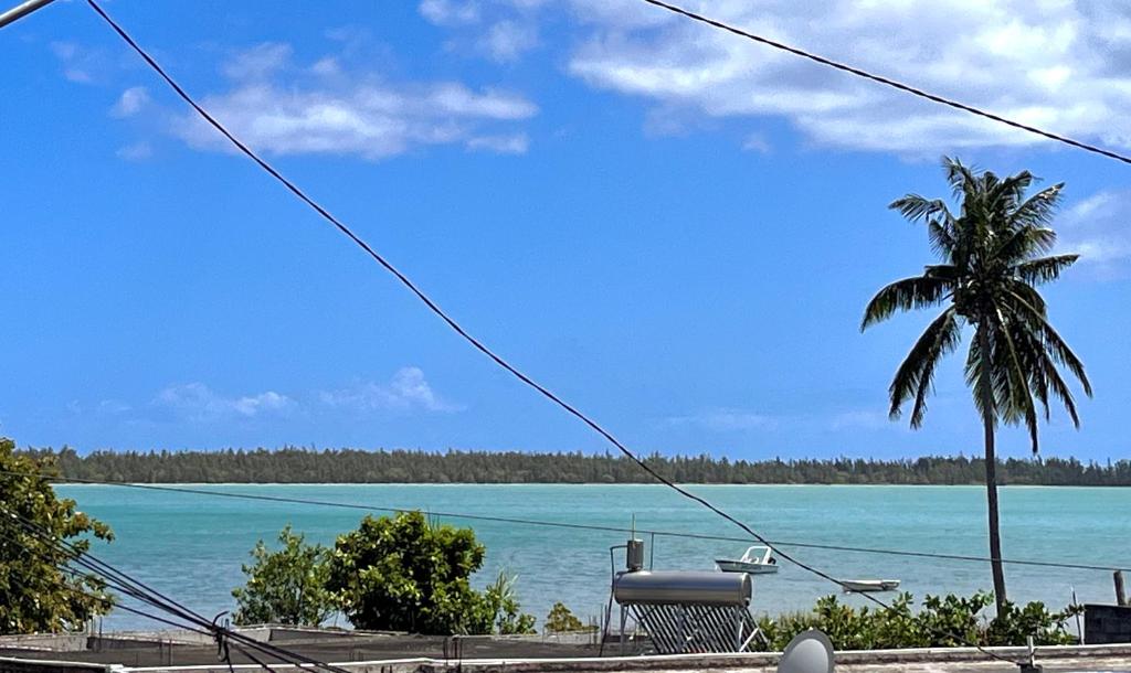 Ebony Apartment & Studio - 1