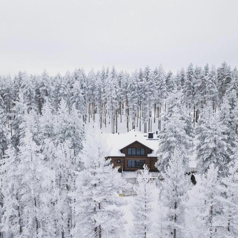 a cabin in the middle of a snow covered forest at Hideout Villa Hilikkula in Rokua