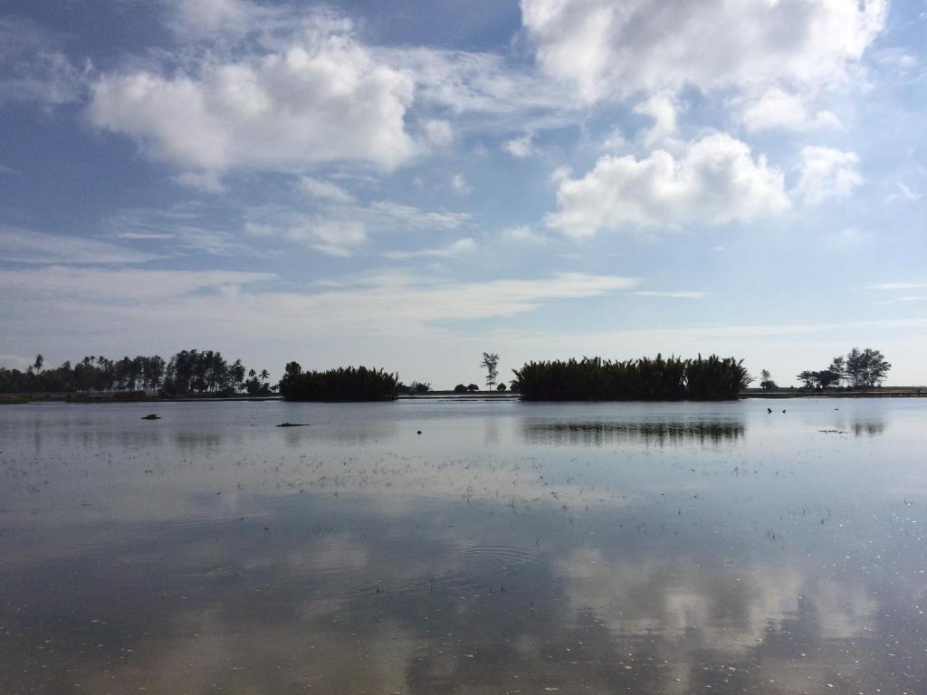 旅馆周边自然景观