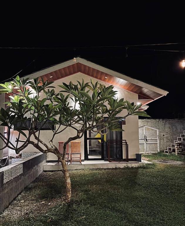 a small tree in front of a house at night at Satera Homestay in Seteluk