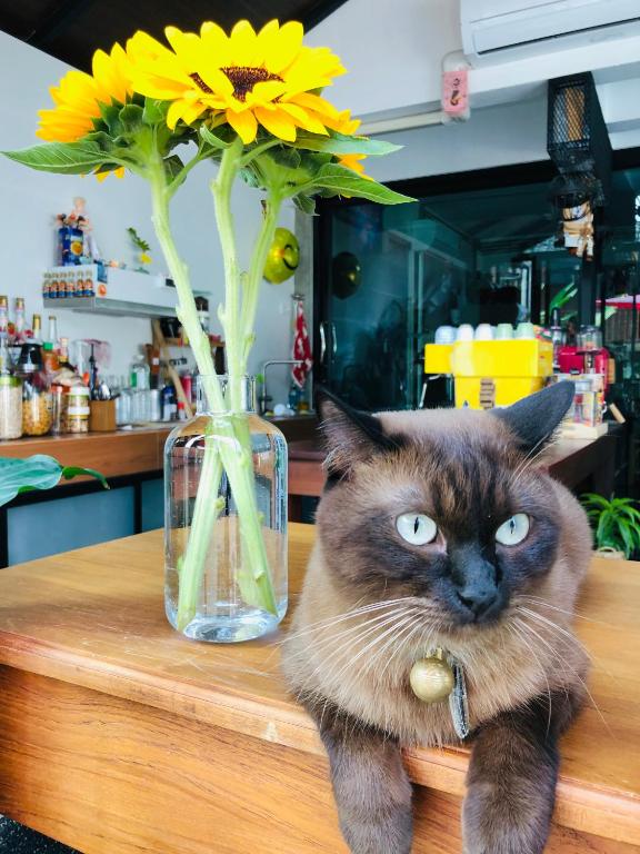 Baan Lung Poshtel - 11