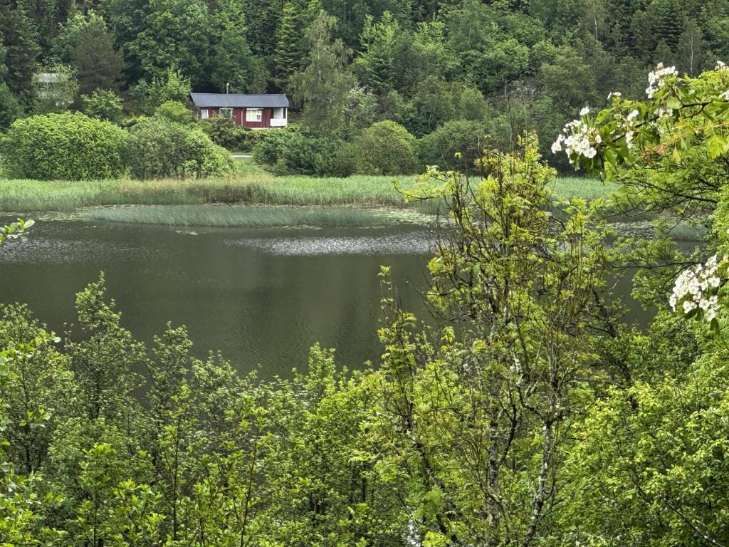 une vue d'un lac avec une maison en arrière-plan dans l'établissement Cozy wilderness cabin at Kynnefjäll close to lake SE09081, à Hällevadsholm