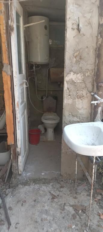 a small bathroom with a toilet and a sink at Mrganush kamp in Meghri
