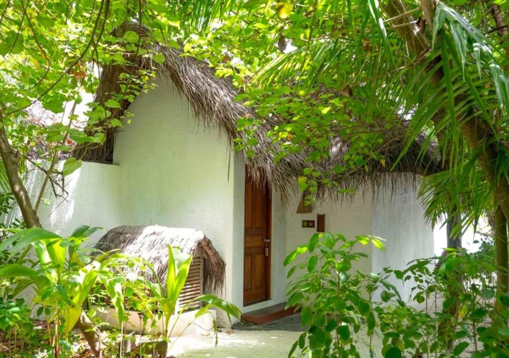Makunudu Island- An Intimate Hideaway - 1