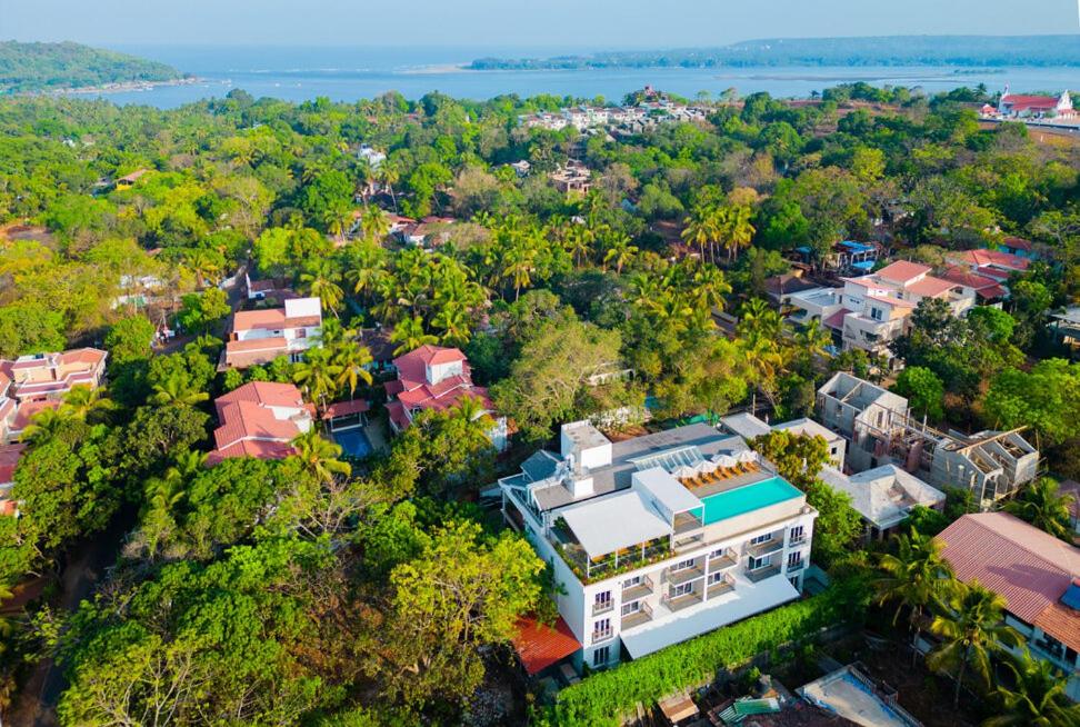 an aerial view of a city with trees and houses at The Passport Hotel in Assagao