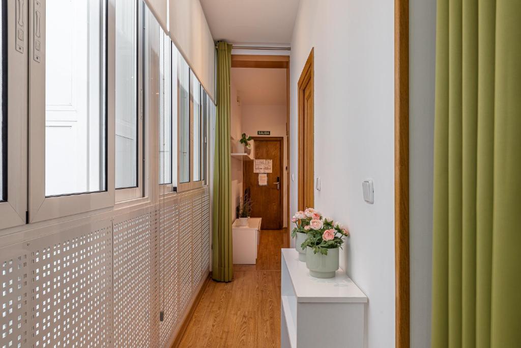 Waou Apartamentos en Sol Confort 7