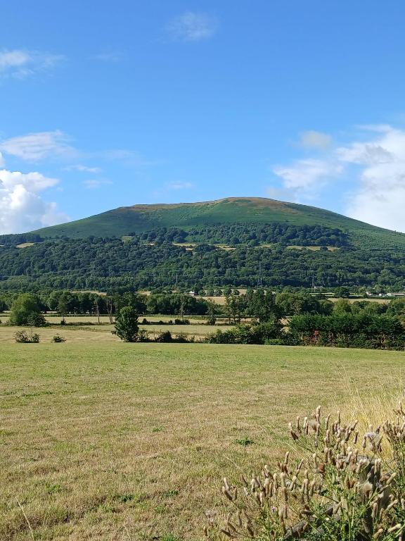 a large field with a hill in the background at Cwtch on The meadow in Abergavenny
