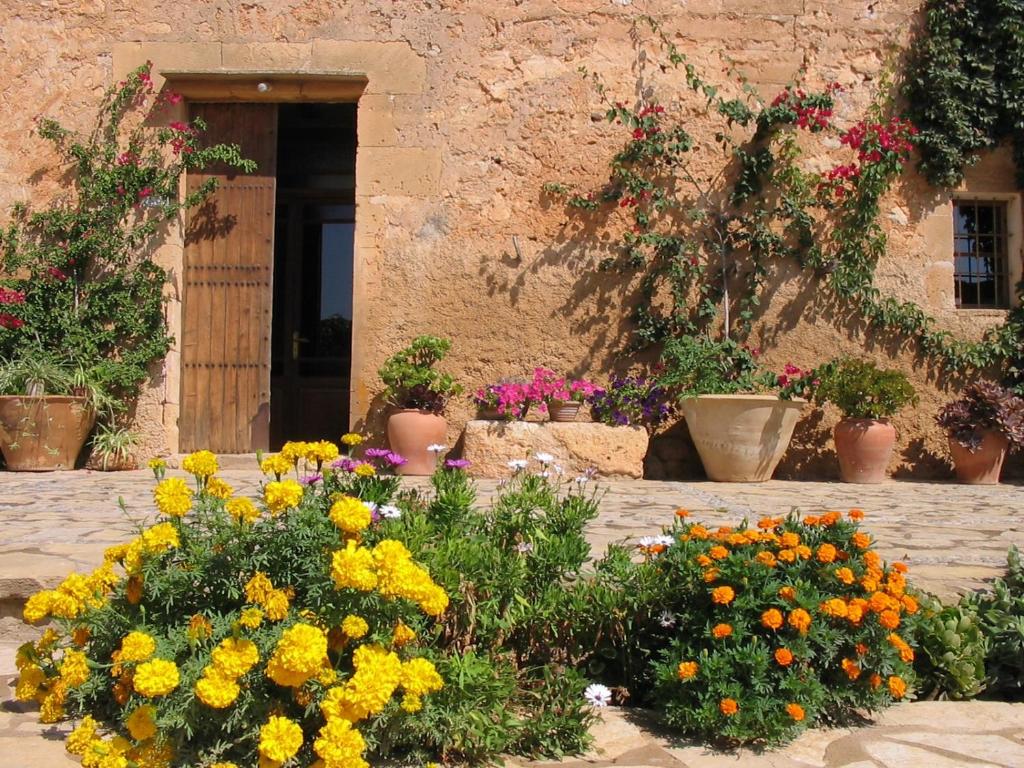 Ein paar Blumen vor einem Gebäude in der Unterkunft Finca Sa Cova Vella in Manacor