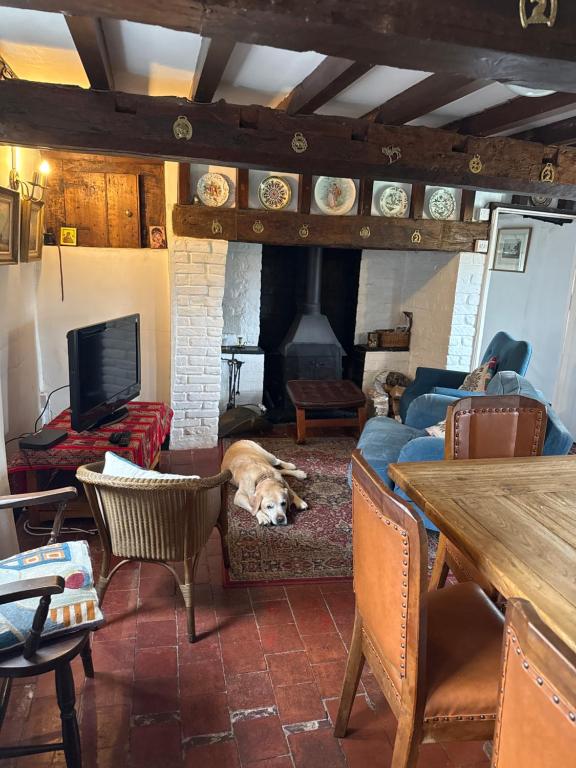 a dog laying on a couch in a living room with a fireplace at Cricketers cottage in Tirley