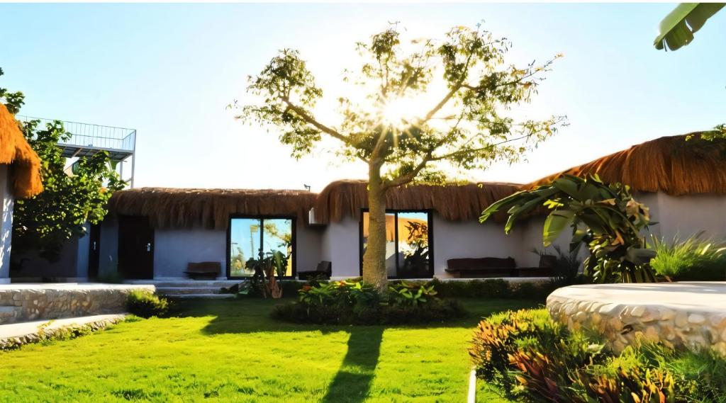 Zahrada ubytování Queen T Fanadir Luxury Resort All Inclusive