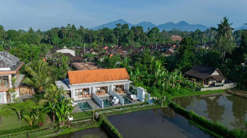 ウブドにあるThe Surana Villas Ubud with Rice Field Viewの水上家屋風景
