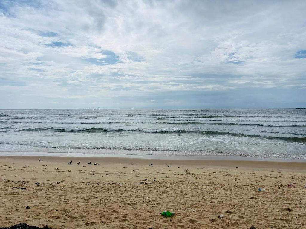 Příroda nedaleko ubytování v soukromí