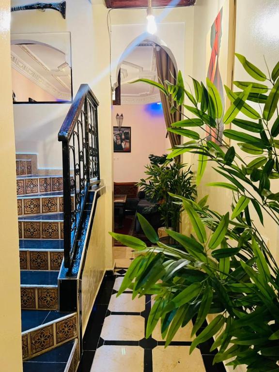 Riad MS holidays terrasse privatisé Marrakech — photo 2