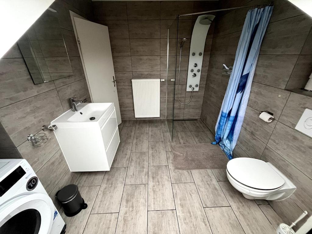 a bathroom with a sink and a toilet and a shower at Gemütliches Apartment Würzburg-Heidingsfeld in Würzburg