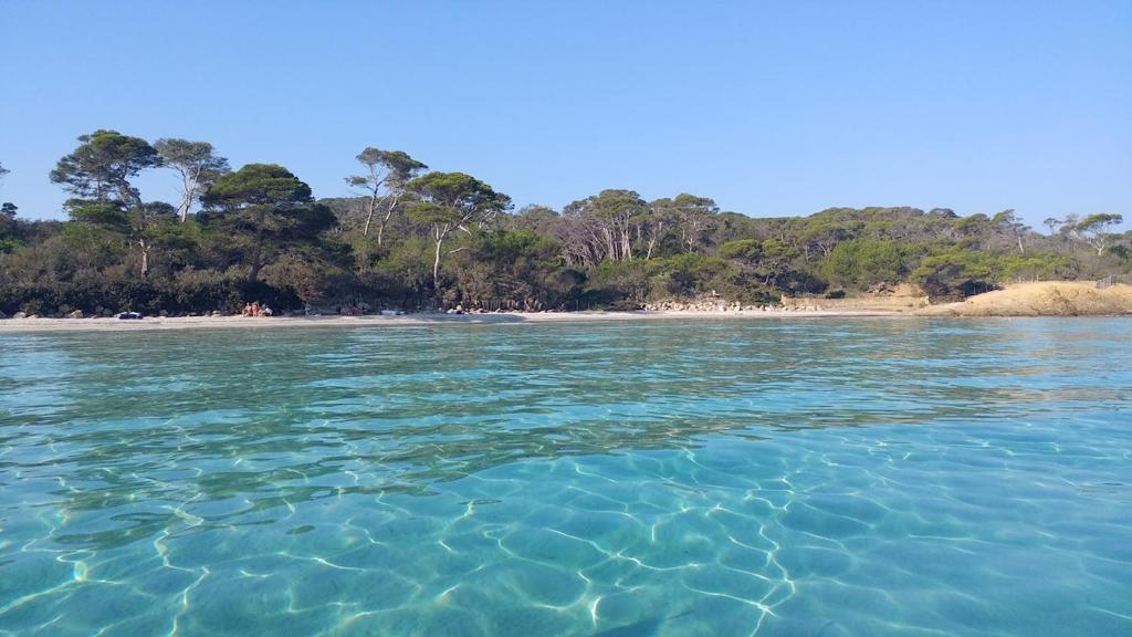 耶尔Maison Les Lauriers Roses vue sur le maquis de Porquerolles的一片水体,背靠海滩