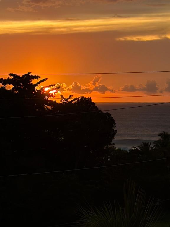 a sunset over the ocean with trees in the foreground at Tres Palmas Boutique Hotel in Rincon