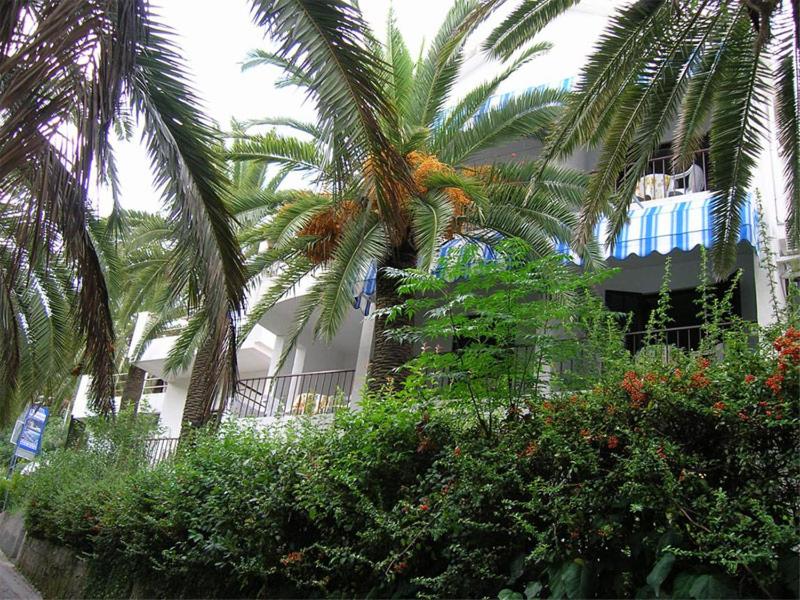 a building with palm trees and bushes in front of it at Apartmani i sobe Goca in Herceg-Novi