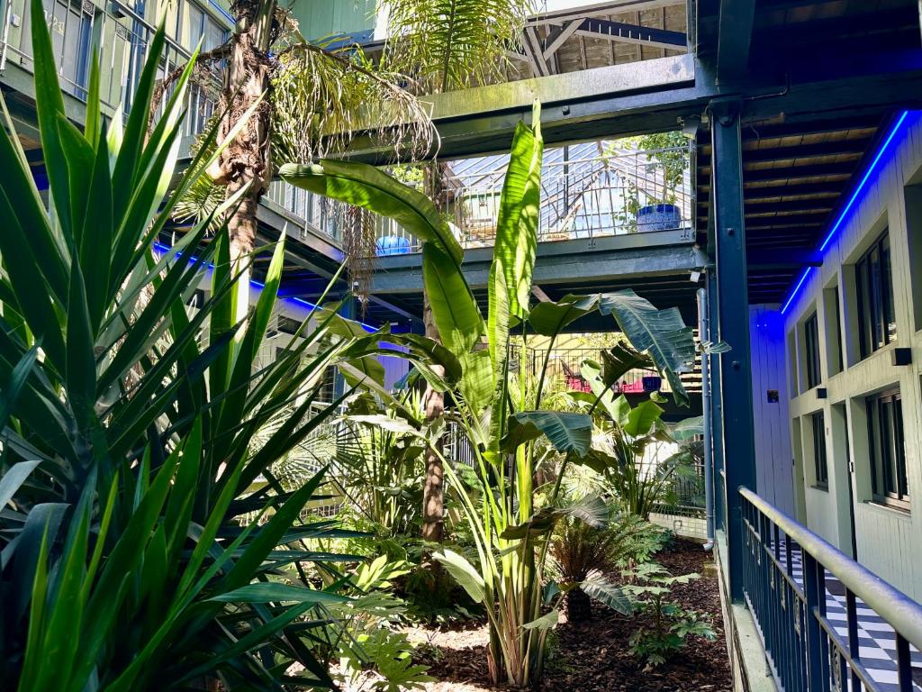 a garden with plants in front of a building at Smartappart Niort in Niort
