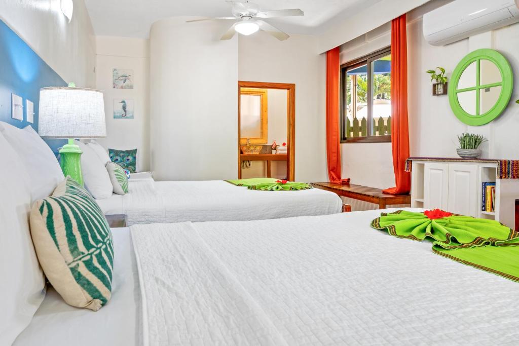 Coconut Row Boutique Hotel photo
