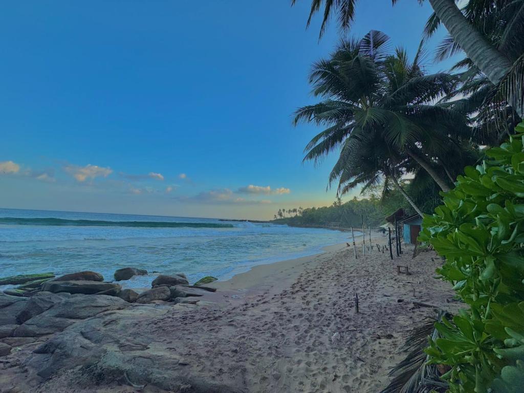 a sandy beach with palm trees and the ocean at AP Pearl Palace -Tangalle in Tangalle