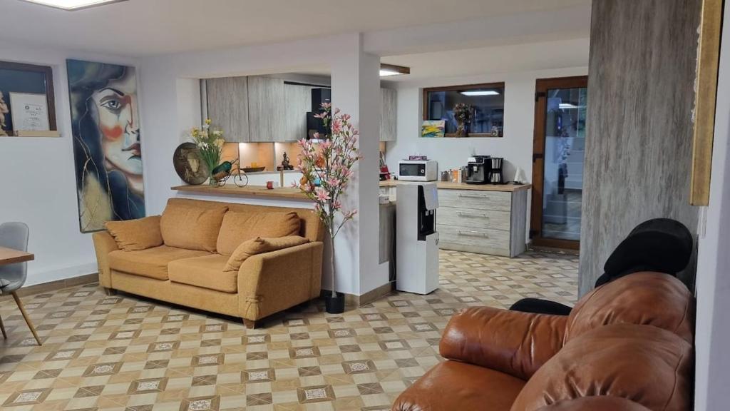 Køkken eller tekøkken på Casa de sub brazi din Fantanele