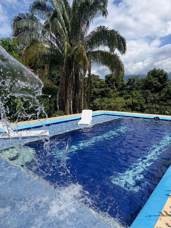a blue swimming pool with a palm tree in the background at Villa Gabritali in La Mesa