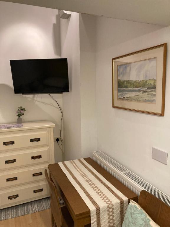 ein Schlafzimmer mit einer Kommode und einem Flachbild-TV in der Unterkunft Studio Annexe with separate shower room in Broadhempston