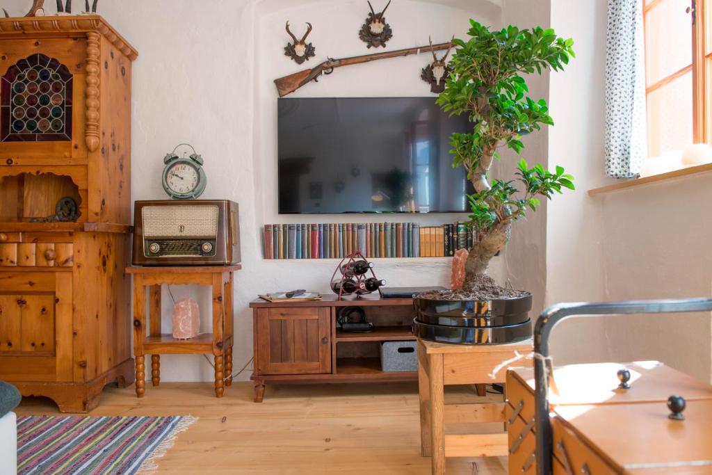 ein Wohnzimmer mit einem TV und einem Baum darin in der Unterkunft Salzhaus in Hallstatt