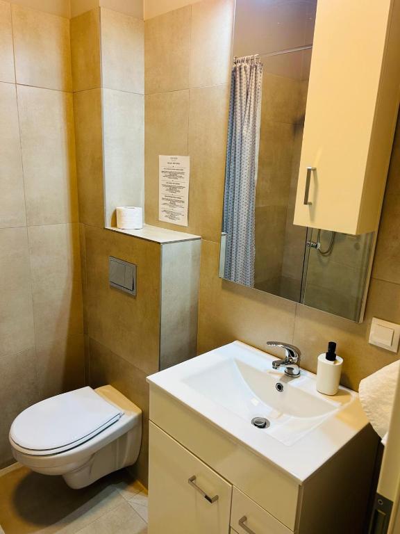 Sibiu New House - Resim 16