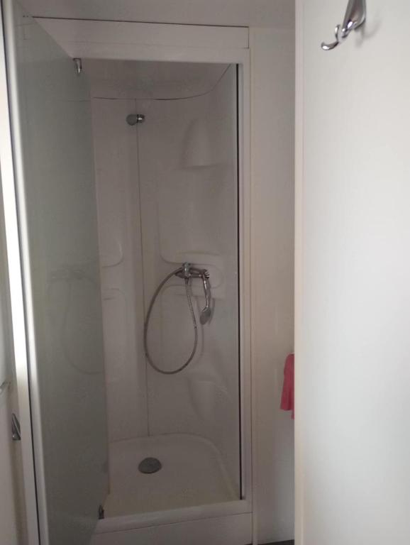 a bathroom with a shower and a toilet at Mobilhomme munster in Munster