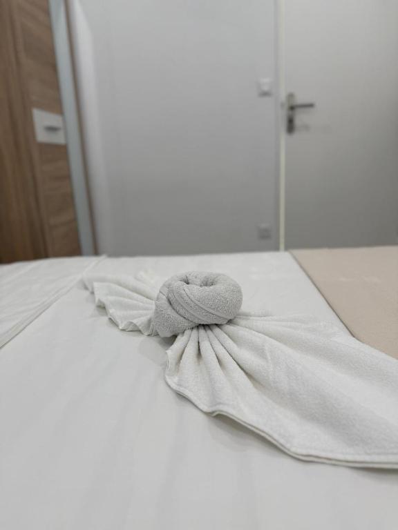 Appartement Lumière – photo 11