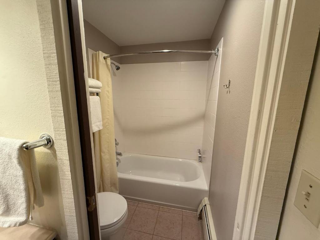 Snowshoe Motel photo