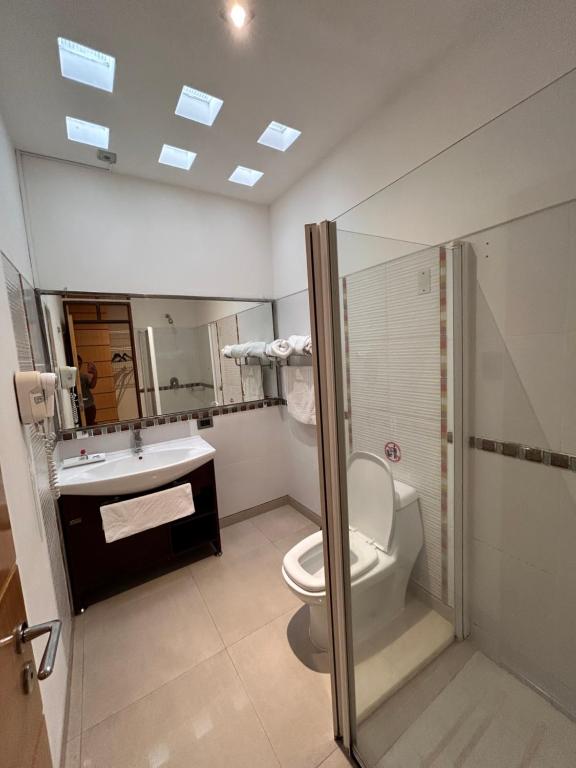 Un baño con inodoro, lavabo y espejo. en Santa Limbania Boutique Hotel, en Santa Cruz de la Sierra
