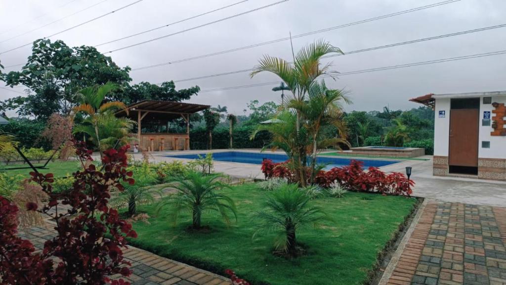 a garden with palm trees and a swimming pool at Hosteria Munay in Pedro Vicente Maldonado