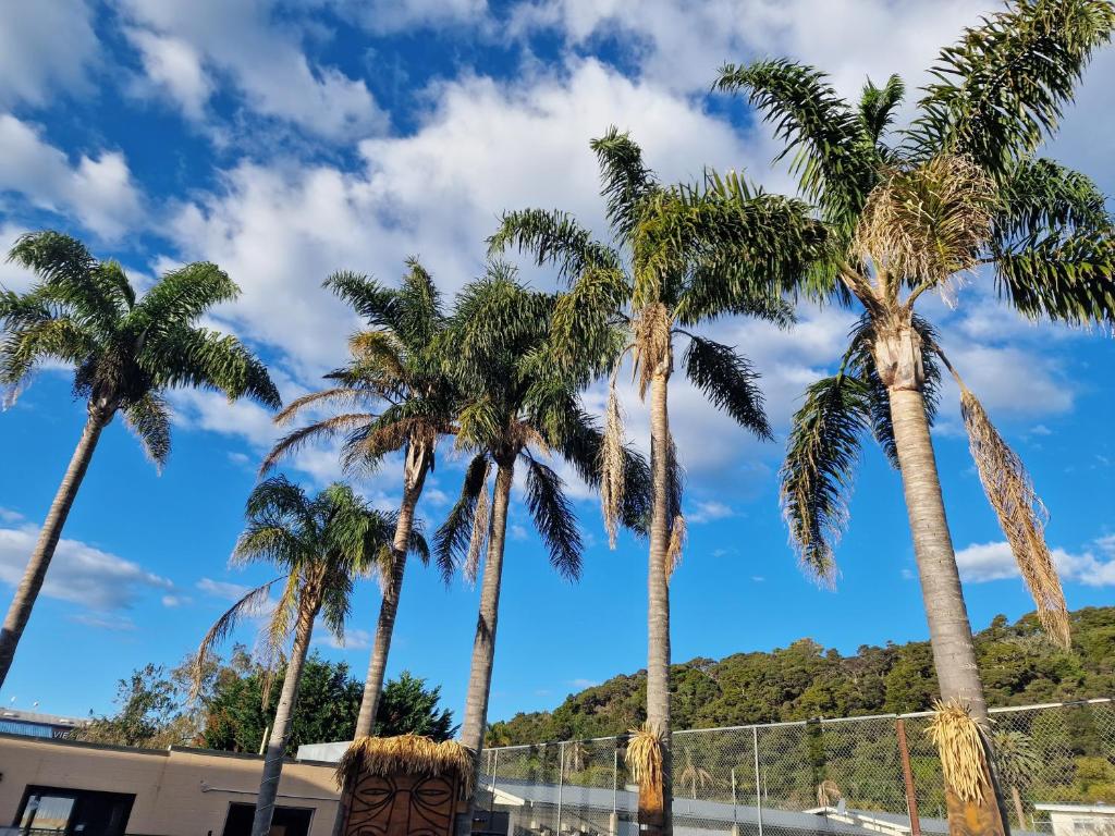 Palm Tree Apartments & backpackers - Resim 26