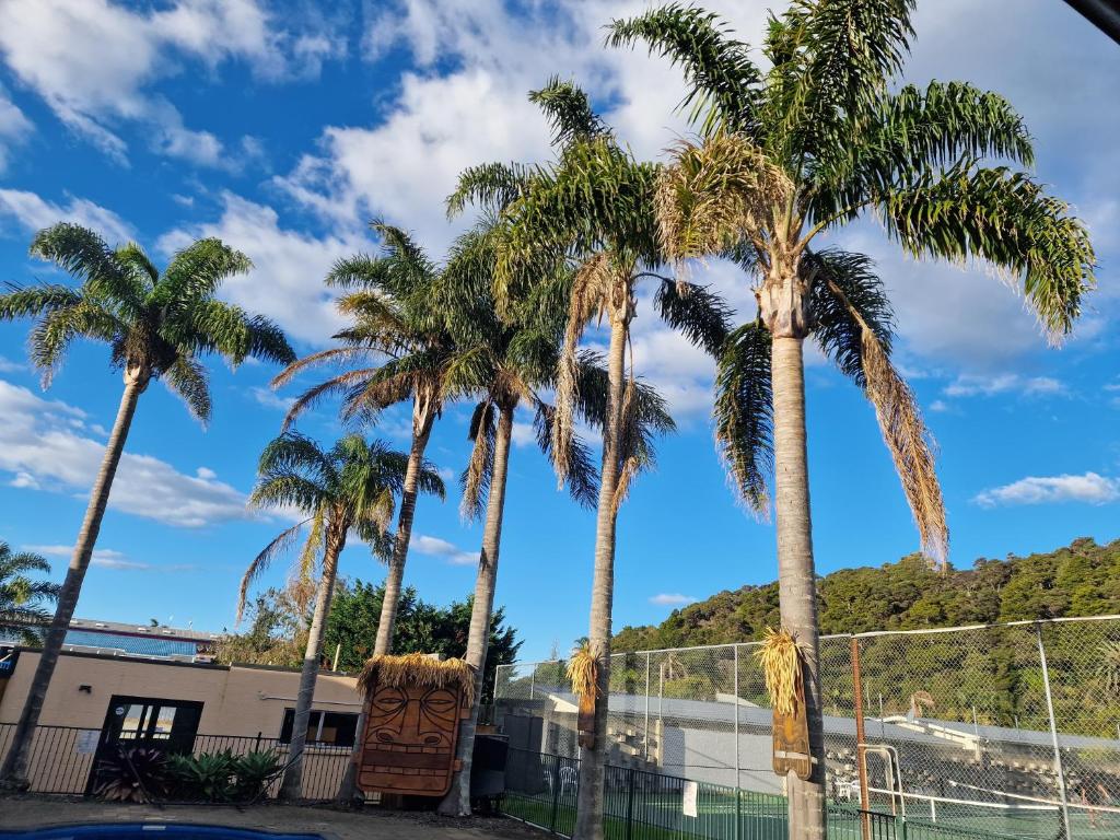 Palm Tree Apartments & backpackers - Resim 38