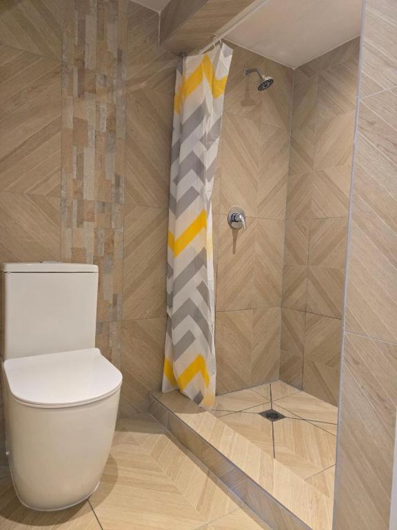 a bathroom with a toilet and a shower at MIRZ Accomodation Villa 2 in Pacific Harbour